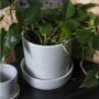 Waston Pot with Saucer – Off White – 6.75″